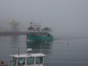 Our tour boat returns in the fog from a previous tour